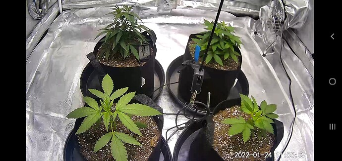 Screenshot_20220124-115508_Wyze