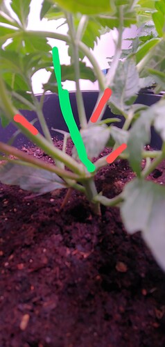 20220210_123252_HDR~2