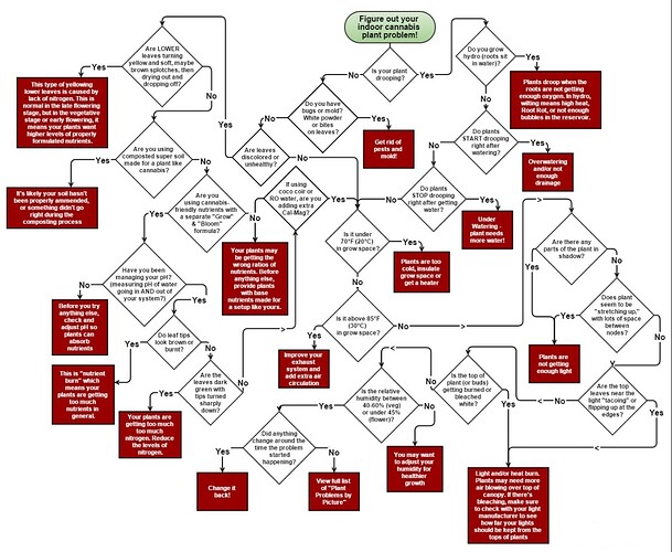 Web capture_22-6-2022_23542_www.growweedeasy.com