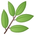 :herb: :herb: