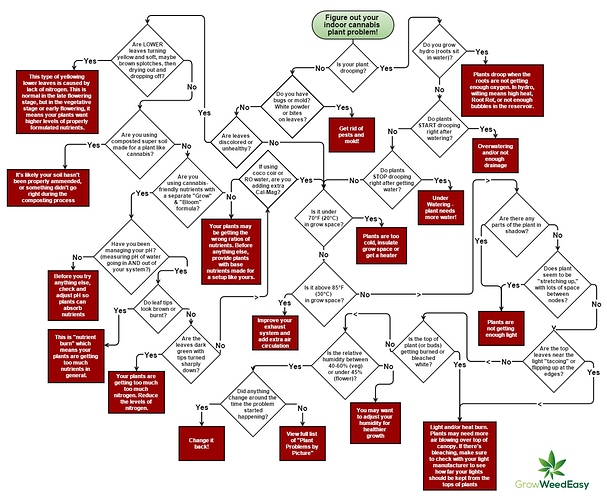 cannabis-plant-problem-flowchart