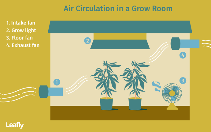 Cannabis-Airflow-copy-2@2x
