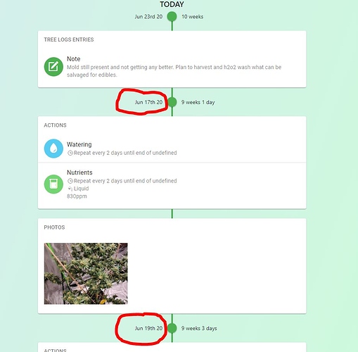 web_grow_log