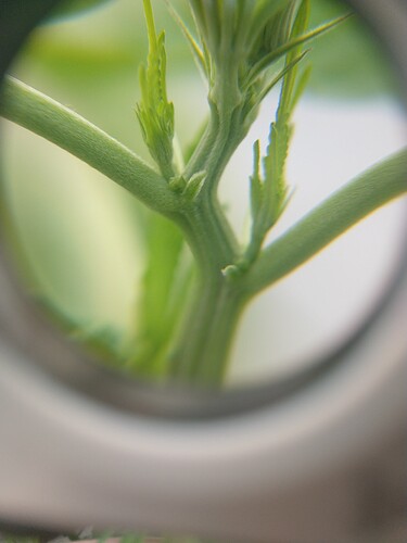 IMG_20210302_153010687