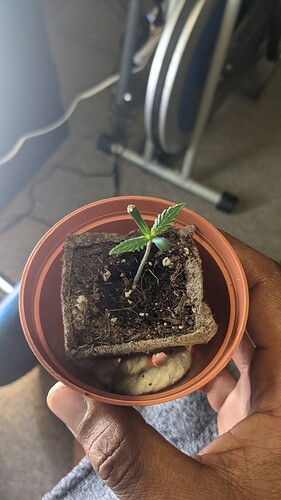 PXL_20210926_122659896