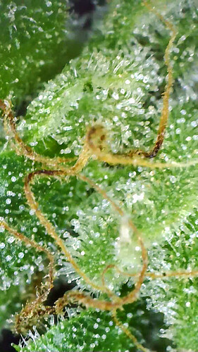 242034703_183676590514077_6602585917906363800_n