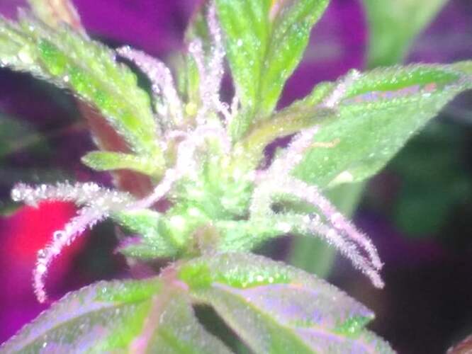 270589953_478385123679476_8969059653244778235_n