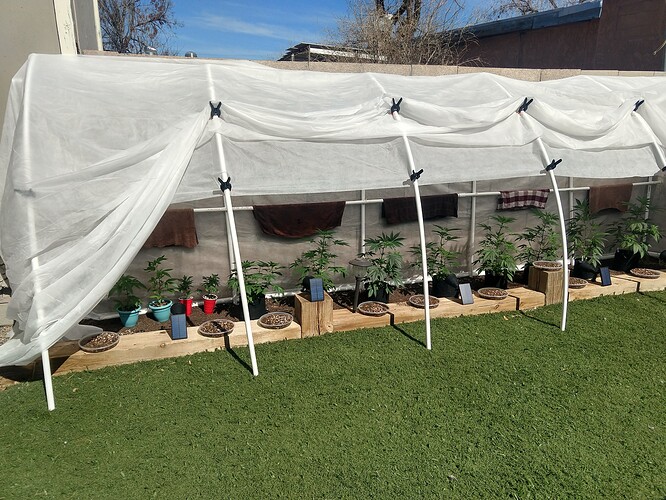 IMG_20210223_114915464_HDR