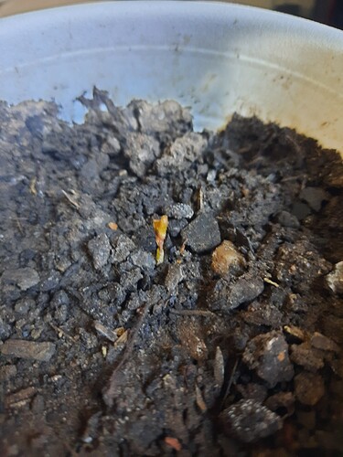 162023583734694656546724937843