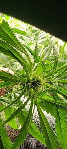 16417364994843946021648559649304