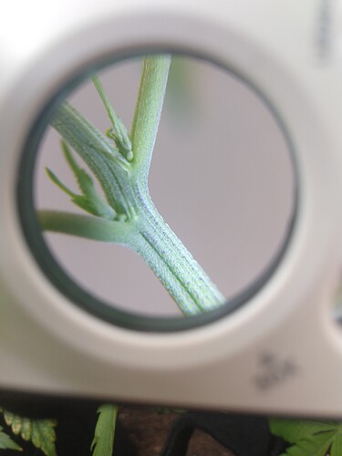 IMG_20210302_152829205