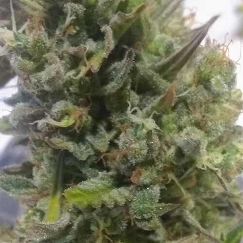 IMG_20210531_213143_417