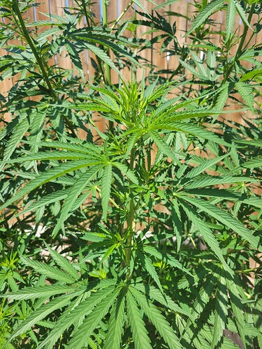 1625937669810298524597173409238