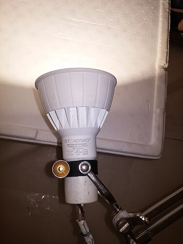 20201221_VEG LED 1