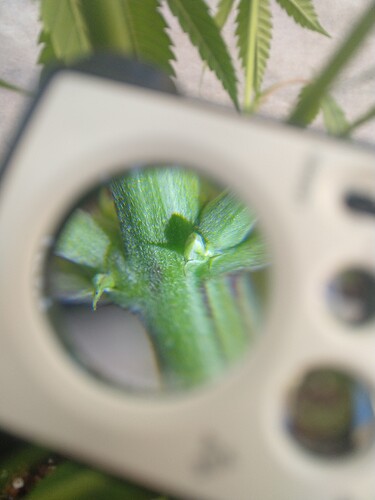 IMG_20210302_155733247