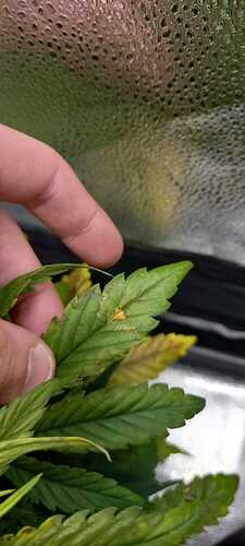 WhatsApp Image 2021-12-03 at 21.38.31 (6)