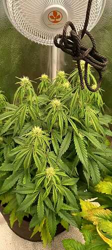 WhatsApp Image 2021-12-03 at 21.38.31 (4)