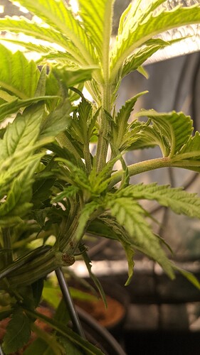 PXL_20211022_161739900