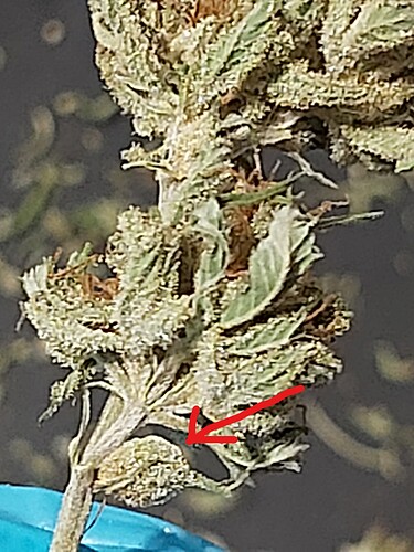 Inked20211021_174452_LI