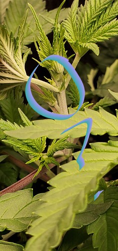 20201223_085025