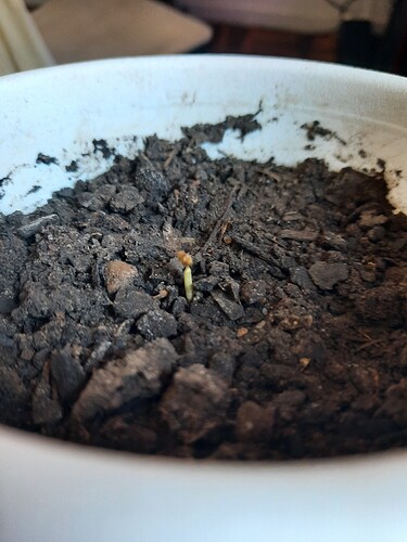 1620235784098338607163624841820