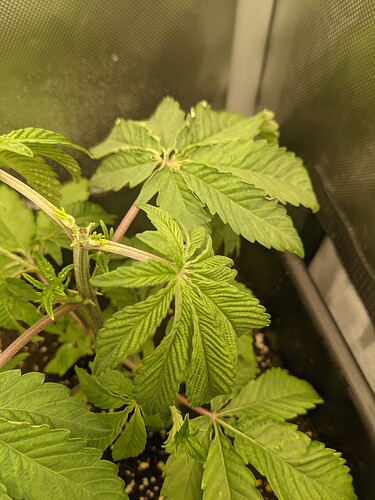 PXL_20211130_030424728