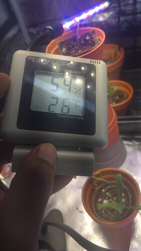 16324788993836395327601290463984