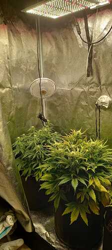 WhatsApp Image 2021-12-04 at 13.49.44 (3)