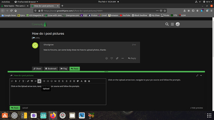 Screenshot from 2021-02-04 10-24-19