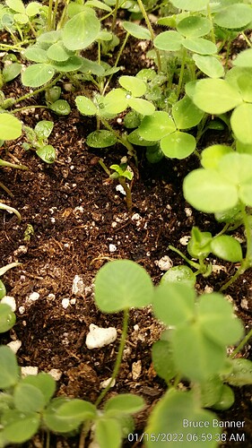 20220115_065938