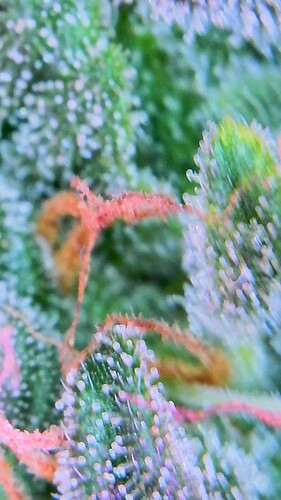 2021_12_25_09_58_09_295