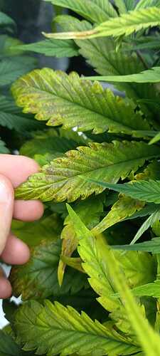 WhatsApp Image 2021-12-03 at 21.38.32 (2)