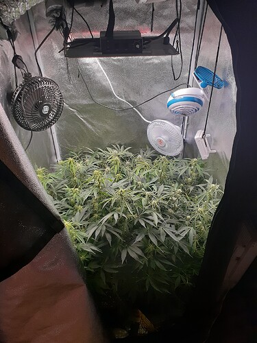 16274027639158609919990799754880