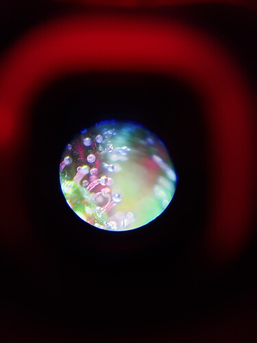 20201206_103844