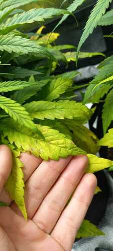 WhatsApp Image 2021-12-03 at 21.38.31 (1)