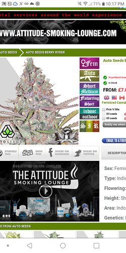Screenshot_20210210-221729