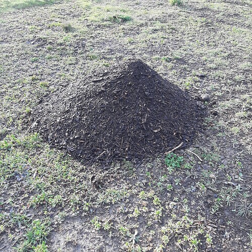 Homemade compost