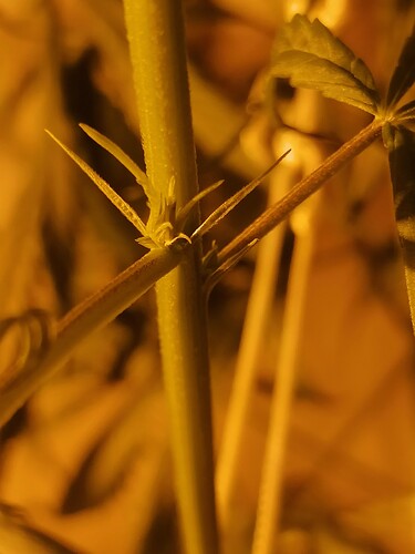 IMG_20201128_222804