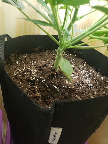 16146184046108224490615670805814