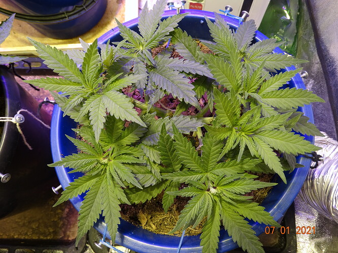 DSC01285