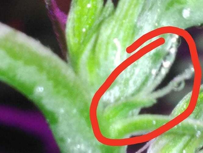 245431225_897063841208675_9078709192963564579_n