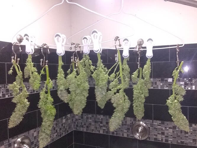 IMG_20210615_012430774