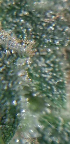20211030_080242