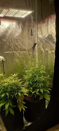 WhatsApp Image 2021-12-04 at 13.49.44 (4)