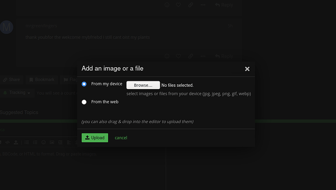 Screenshot B