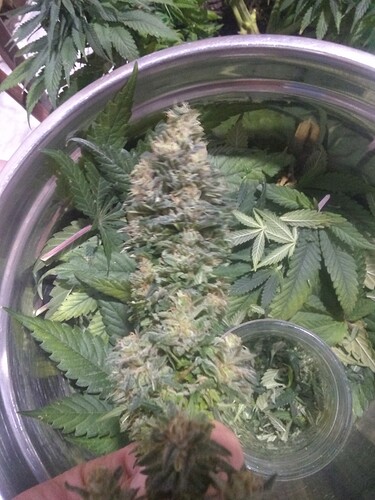 IMG_20210614_225359059