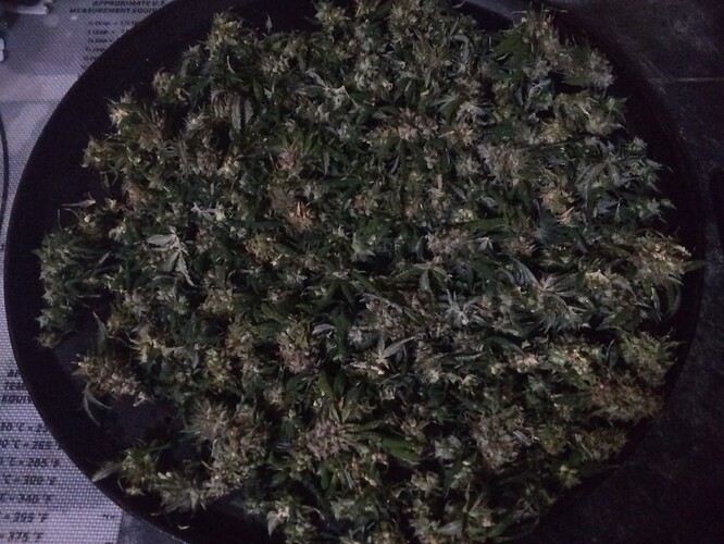 IMG_20210818_183426452