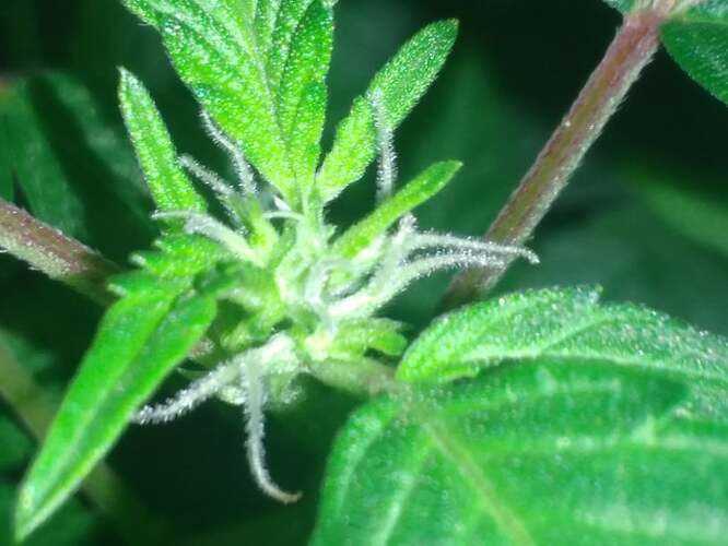 271449951_731759641137916_467975748613565652_n