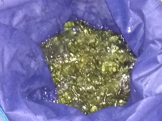 IMG_20210818_190033003