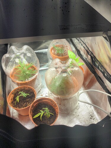 IMG_20211026_115713_01